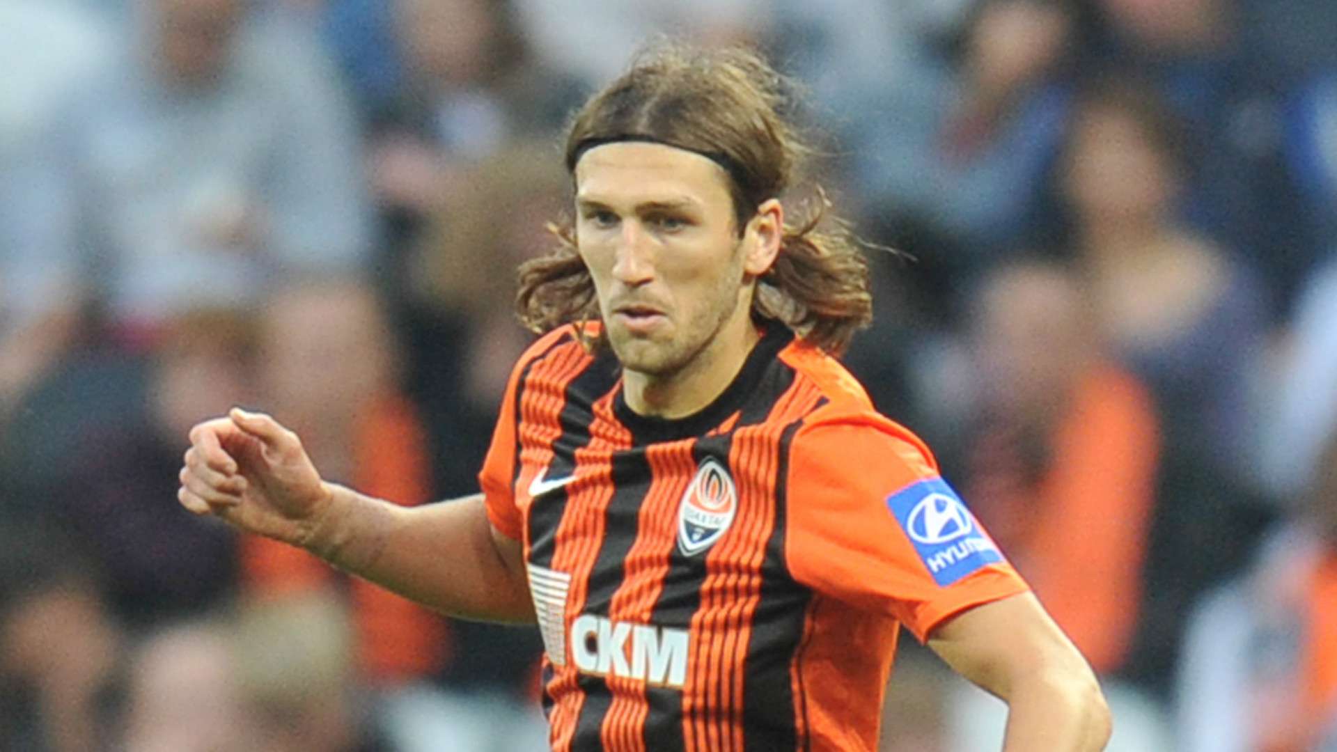 他们将能够 他们将能够