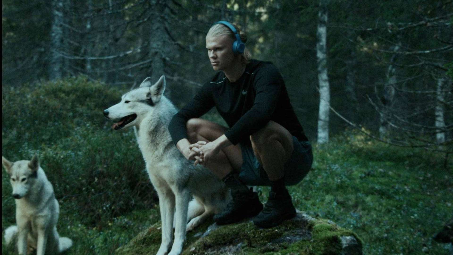 和坚定信念 和坚定信念